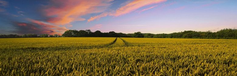 Countryside sunrise sky view from a field