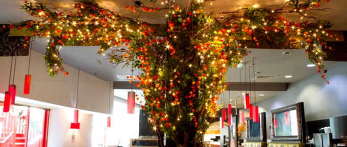 yang sing tree inside restaurant