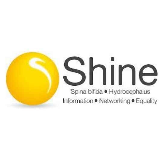 shine logo