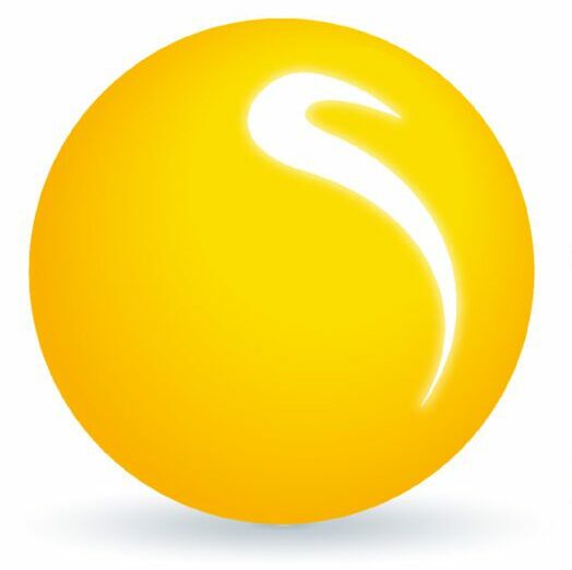 The Shine charity yellow logo